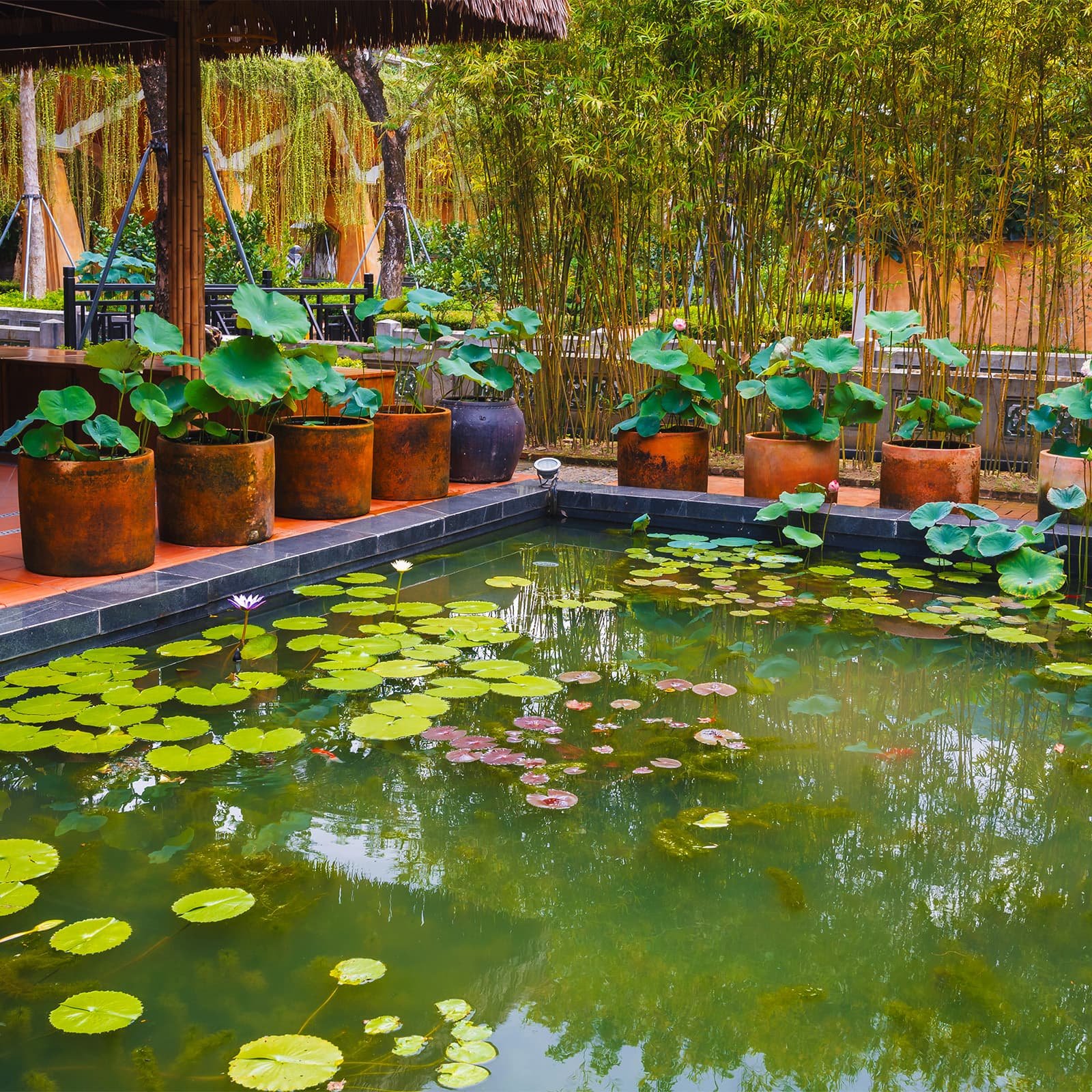 Le Jardin d’Amour в Ba Na Hills — прогулочная зона между канатной дорогой и пагодой Линь Унг: стилизованные французские и итальянские садовые композиции среди горных склонов.