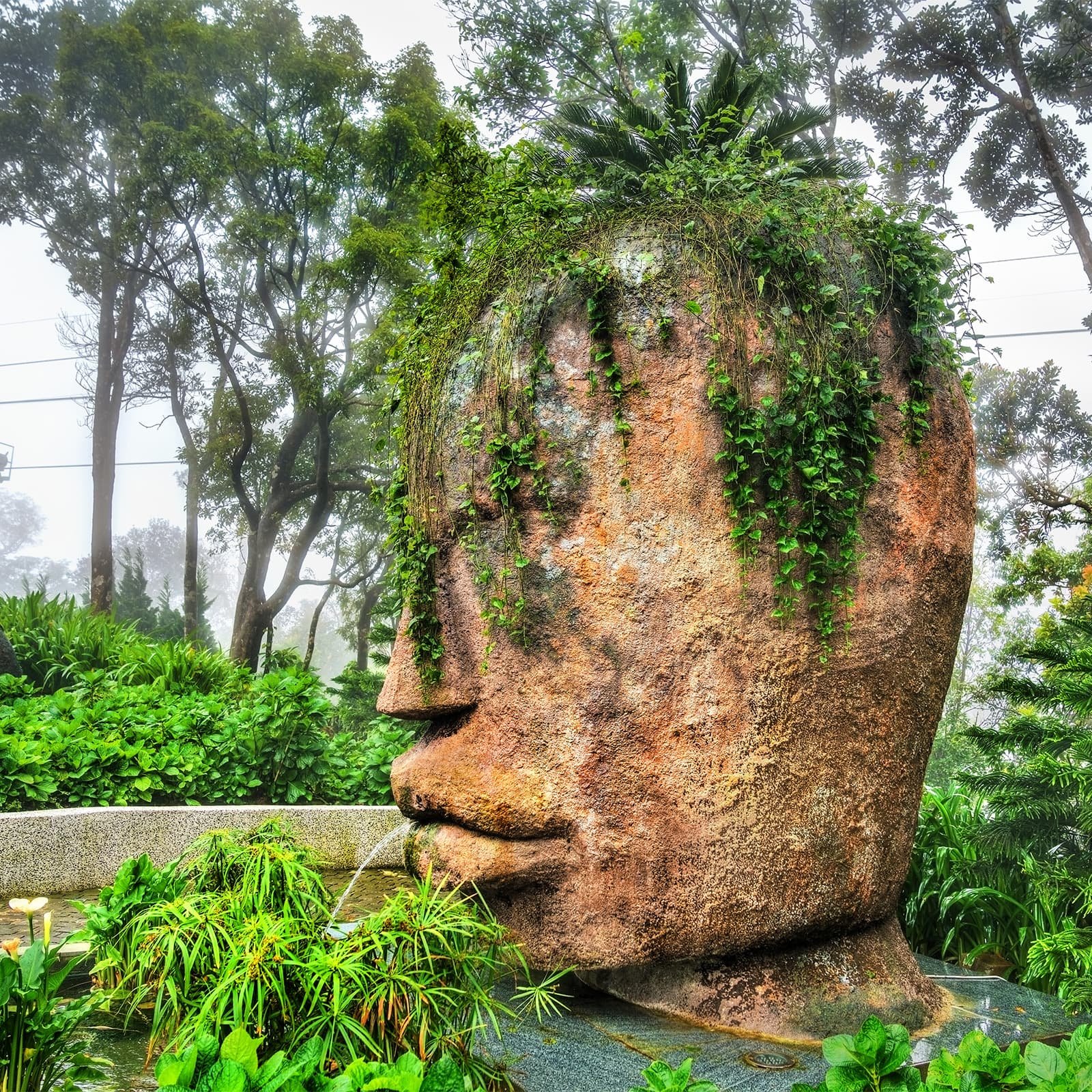 Цветочные сады Le Jardin d’Amour рядом с духовным кластером Ba Na Hills: сочетание европейского паркостроения и вьетнамского горного ландшафта, популярное место для фотосессий из Дананга.