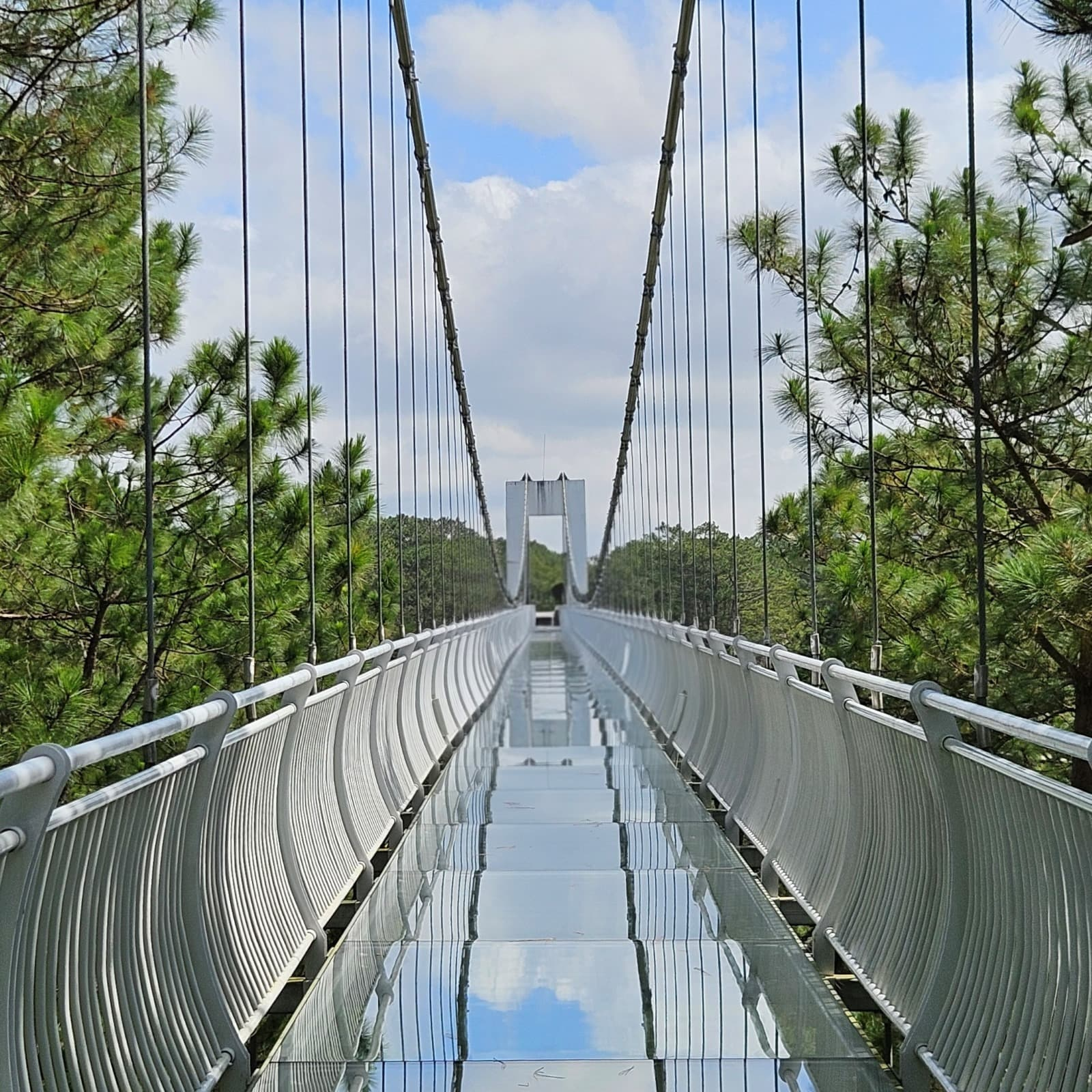 Стеклянный мост Ngàn Thông в Далате над сосновыми склонами — одна из самых ярких локаций Далата, где прозрачный настил, горный воздух и панорамы Центрального нагорья соединяются в одно сильное впечатление