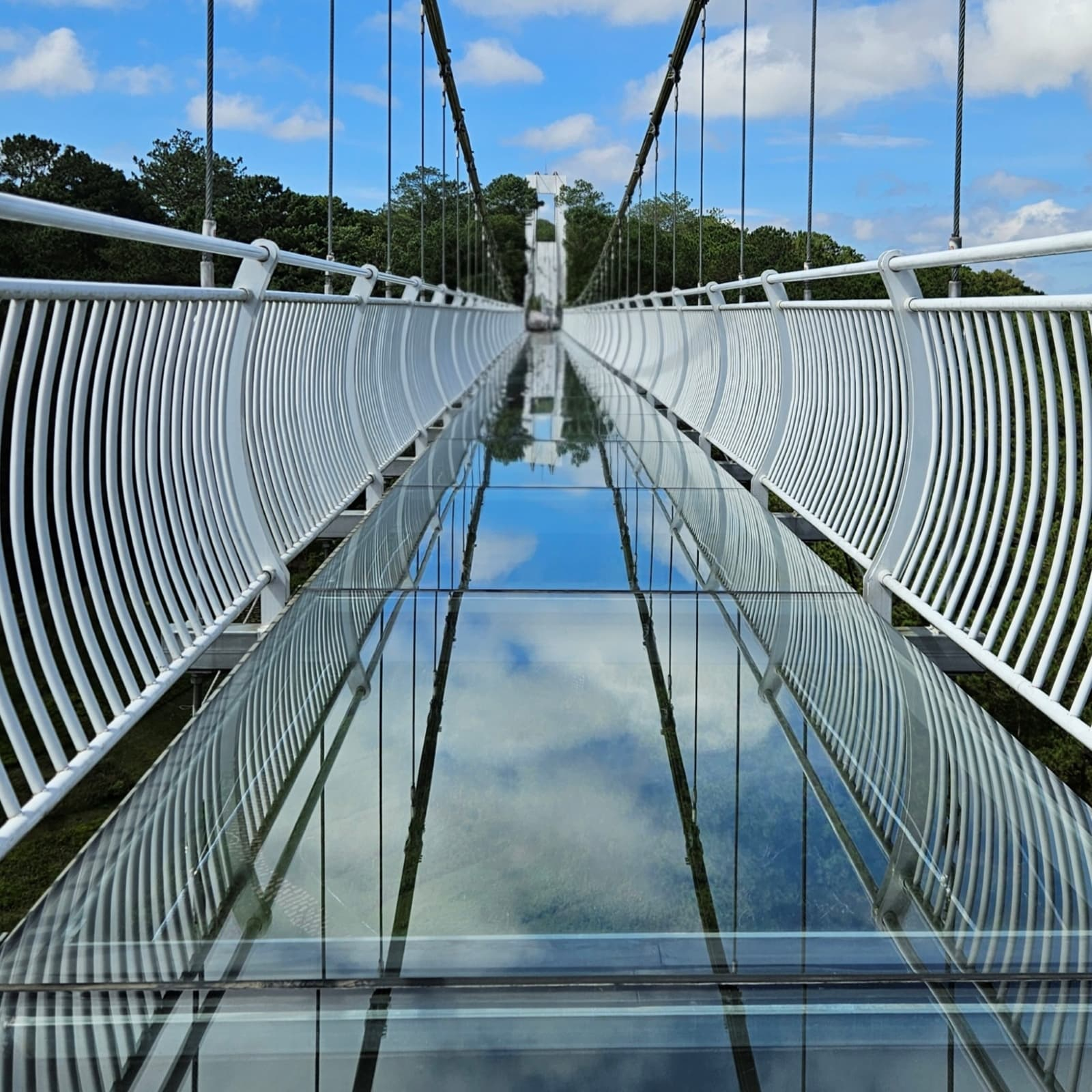 Стеклянный мост в Далате среди туманных хвойных холмов — эффектная остановка однодневной экскурсии из Нячанга, где прогулка по прозрачному мосту над лесом дарит красивые кадры и лёгкий адреналин
