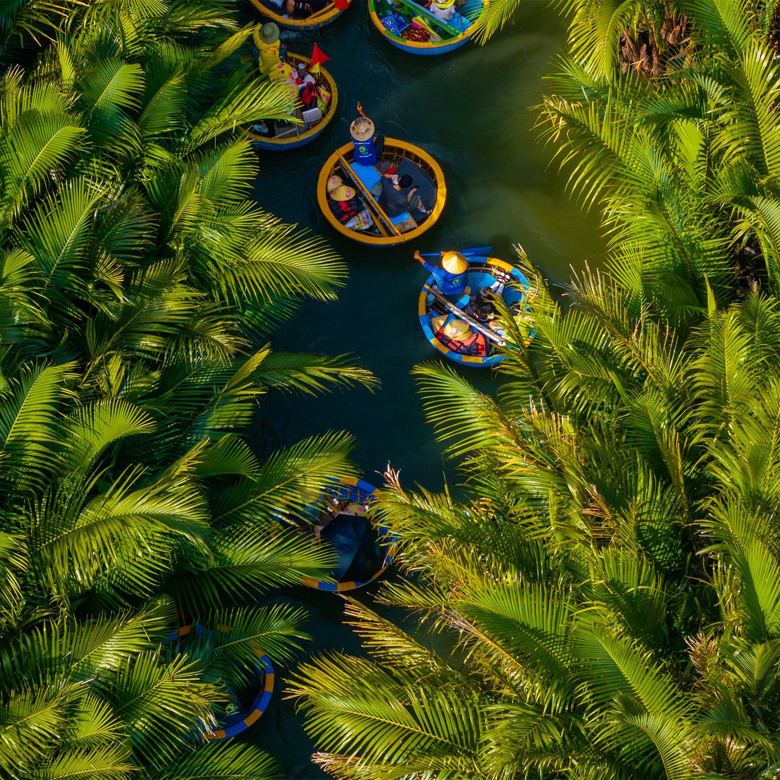 Кокосовый лес Бай Мау в Кам Тхань — мангровая экозона рядом с Хойаном, где каналы скрываются под кронами ниповых пальм и создают ощущение настоящих «водных джунглей».