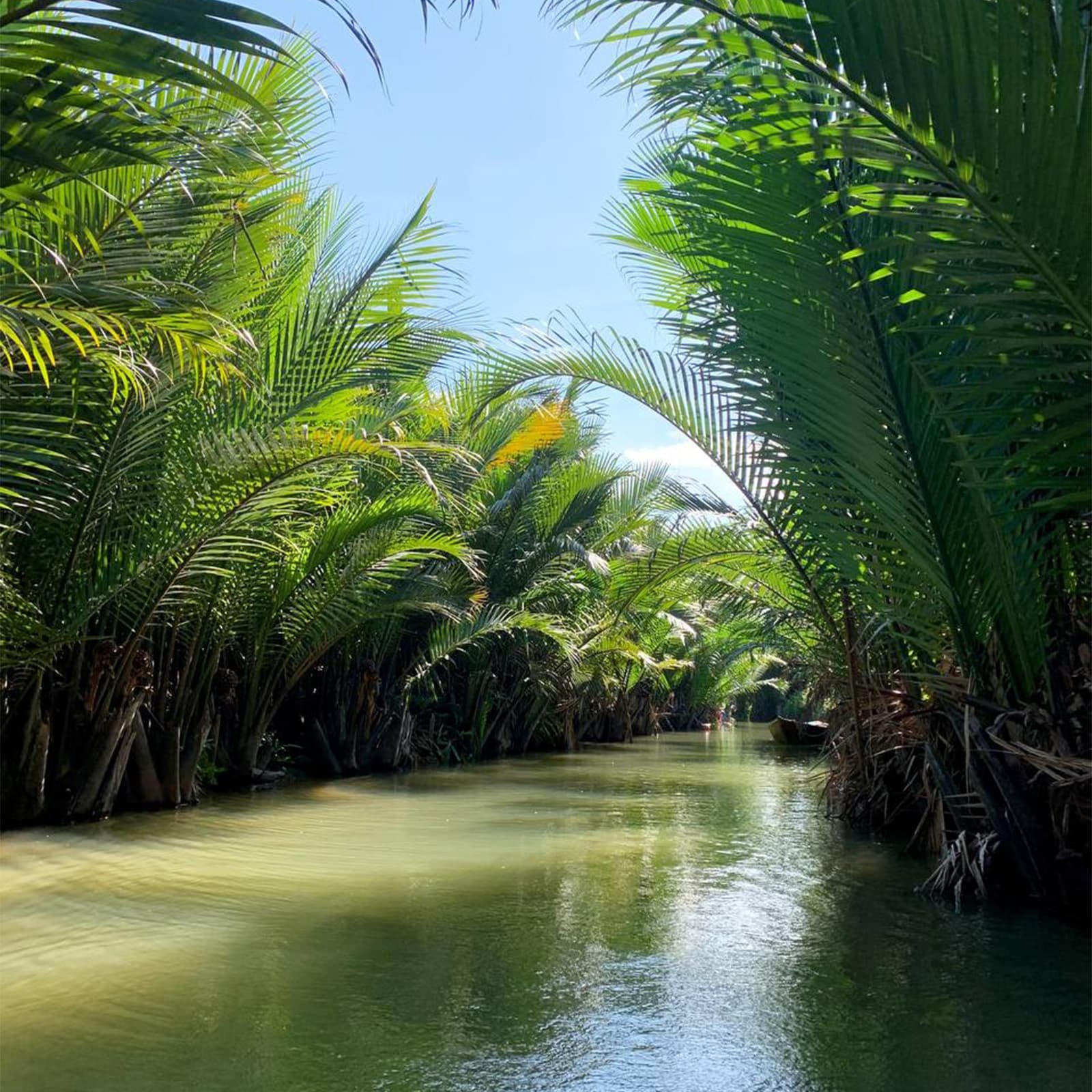 Во время поездки часто делают короткие остановки для фотографий и мини-демонстраций: из кокосовых листьев плетут простые сувениры, а на воде могут устроить небольшие фольклорные сценки.