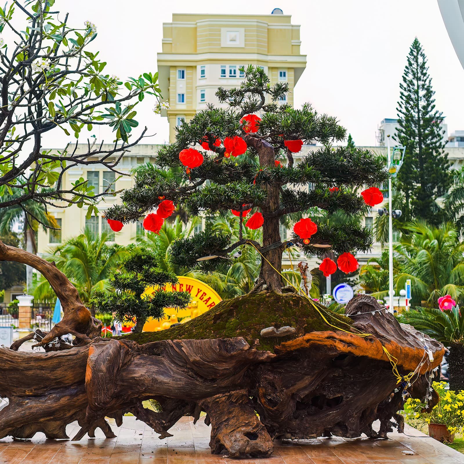 К Тету повсюду появляются фонари и хризантемы — вместе они формируют узнаваемую новогоднюю картинку Вьетнама: тёплый свет и живые цветы.