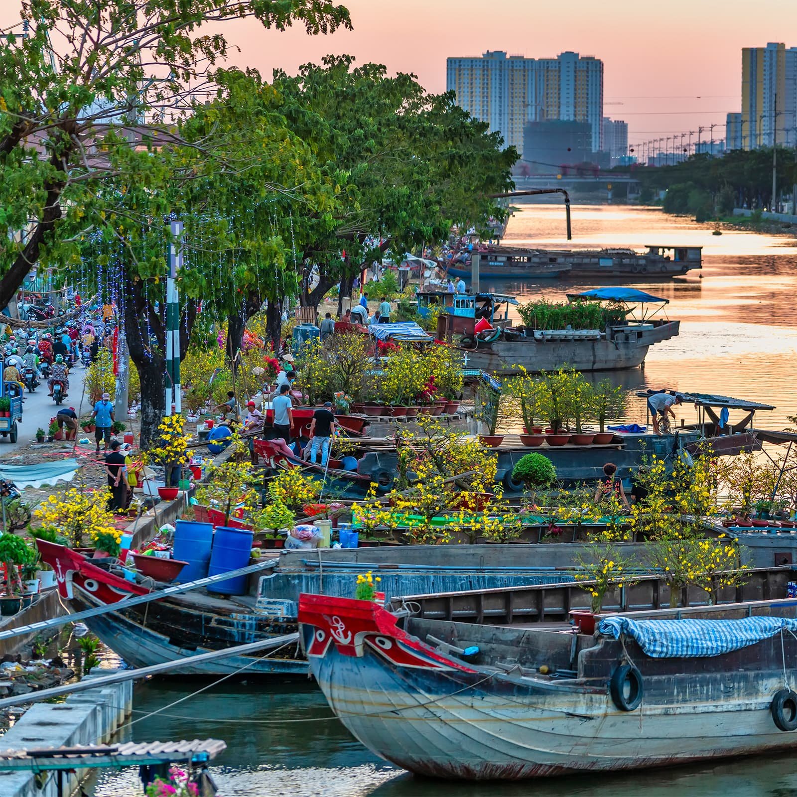 На набережных и в туристических зонах к Тету можно увидеть лодки, украшенные хризантемами — цветы становятся частью городской сцены праздника.