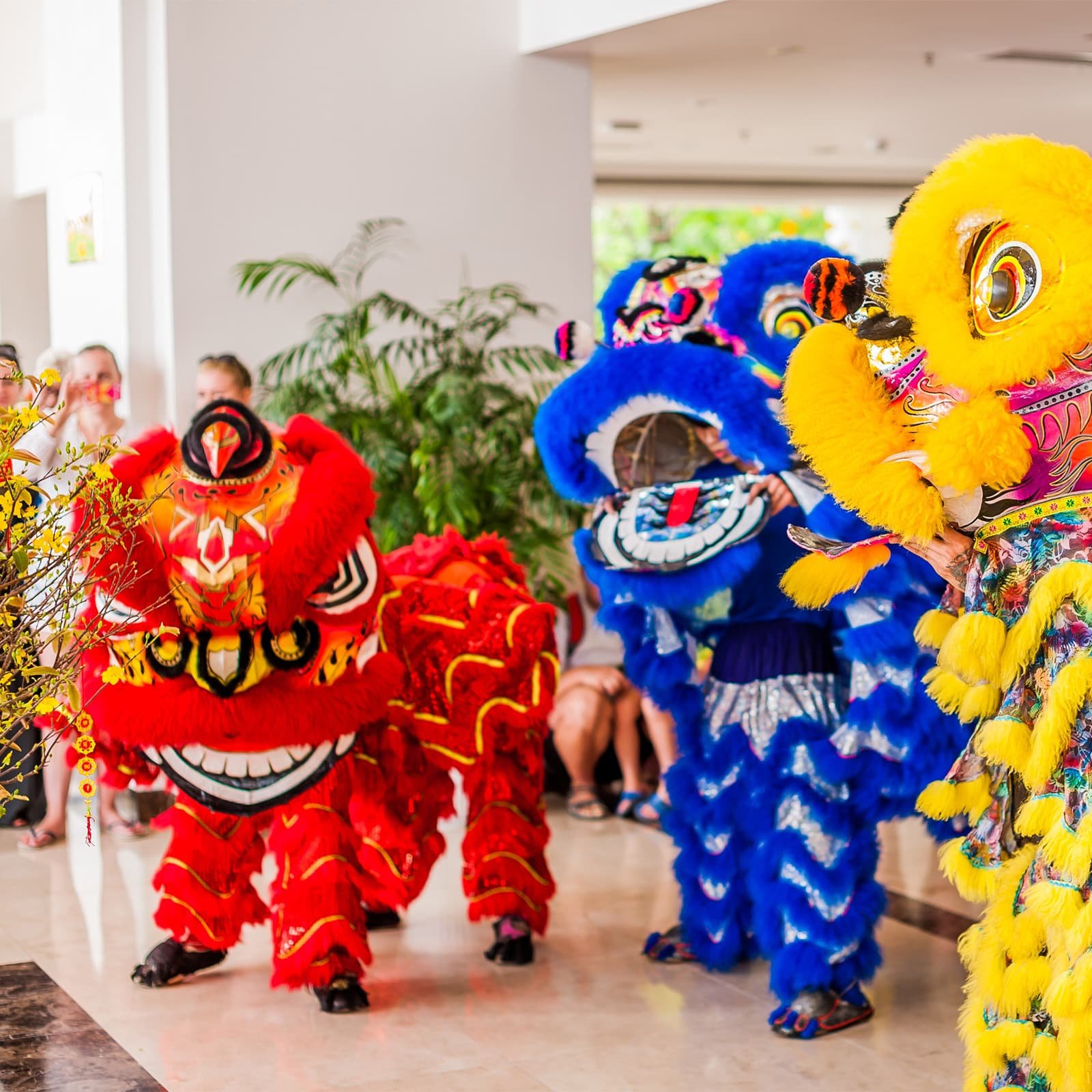 В танце льва два артиста управляют головой и телом мифического Lân, а резкие движения и музыка создают эффект «пробуждения» города.