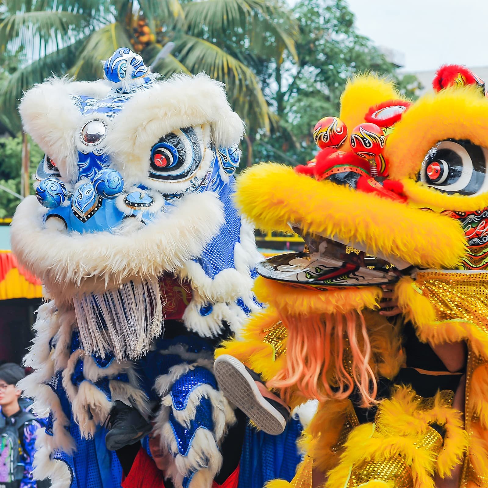 Львиные танцы часто исполняют у домов и магазинов — хозяева получают благословение на год, а артистам дарят lì xì в знак благодарности.