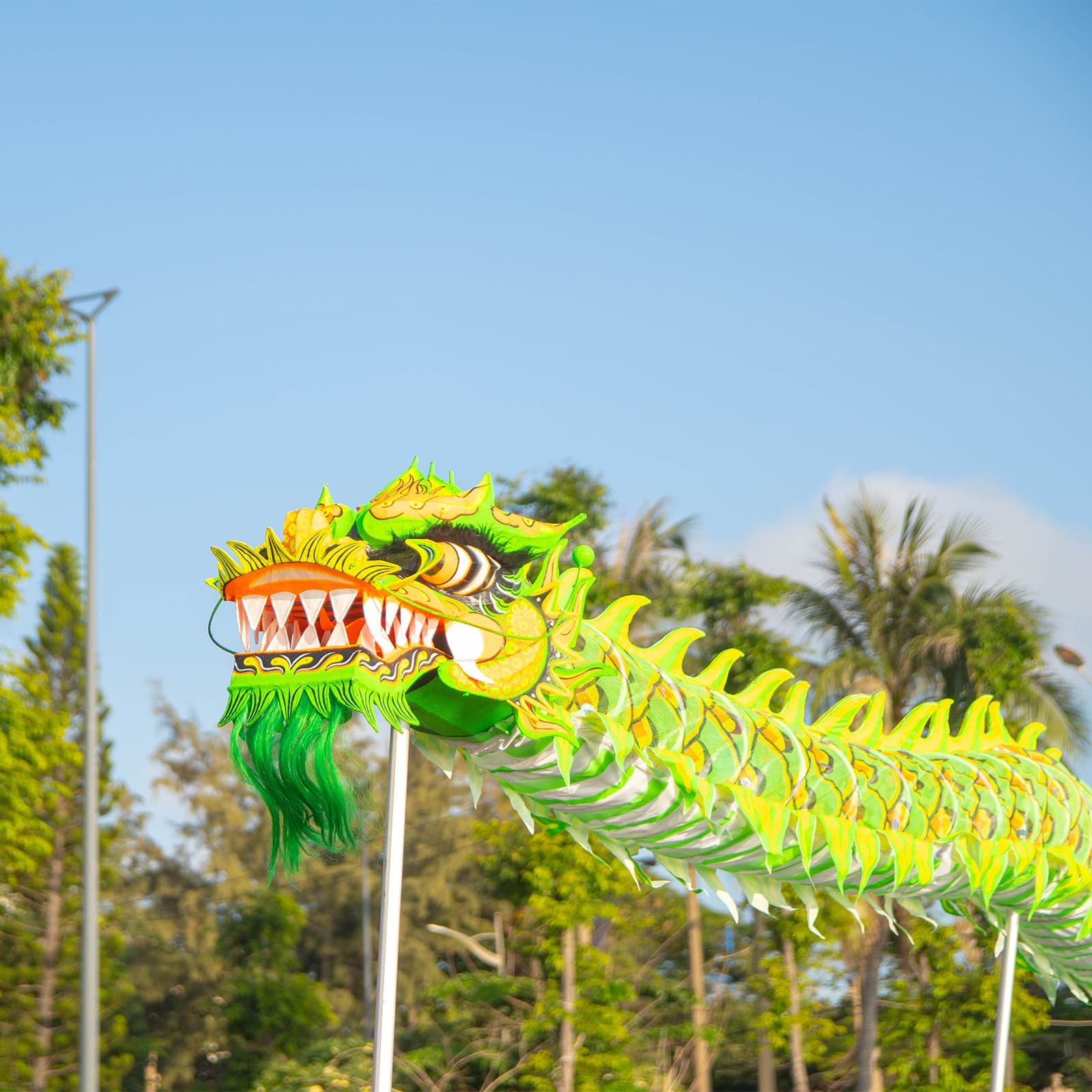 Танец дракона múa rồng требует слаженной команды — волнообразное движение длинного тела символизирует дождь, плодородие и обновление.