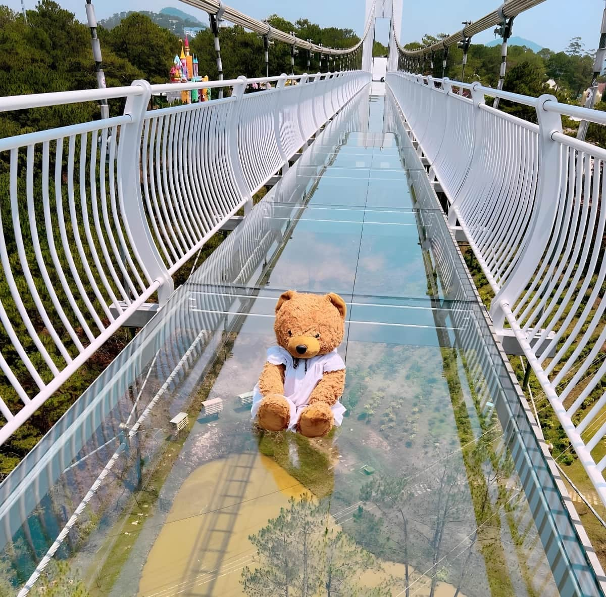 Стеклянный мост в Далате с видом на горные долины и леса.