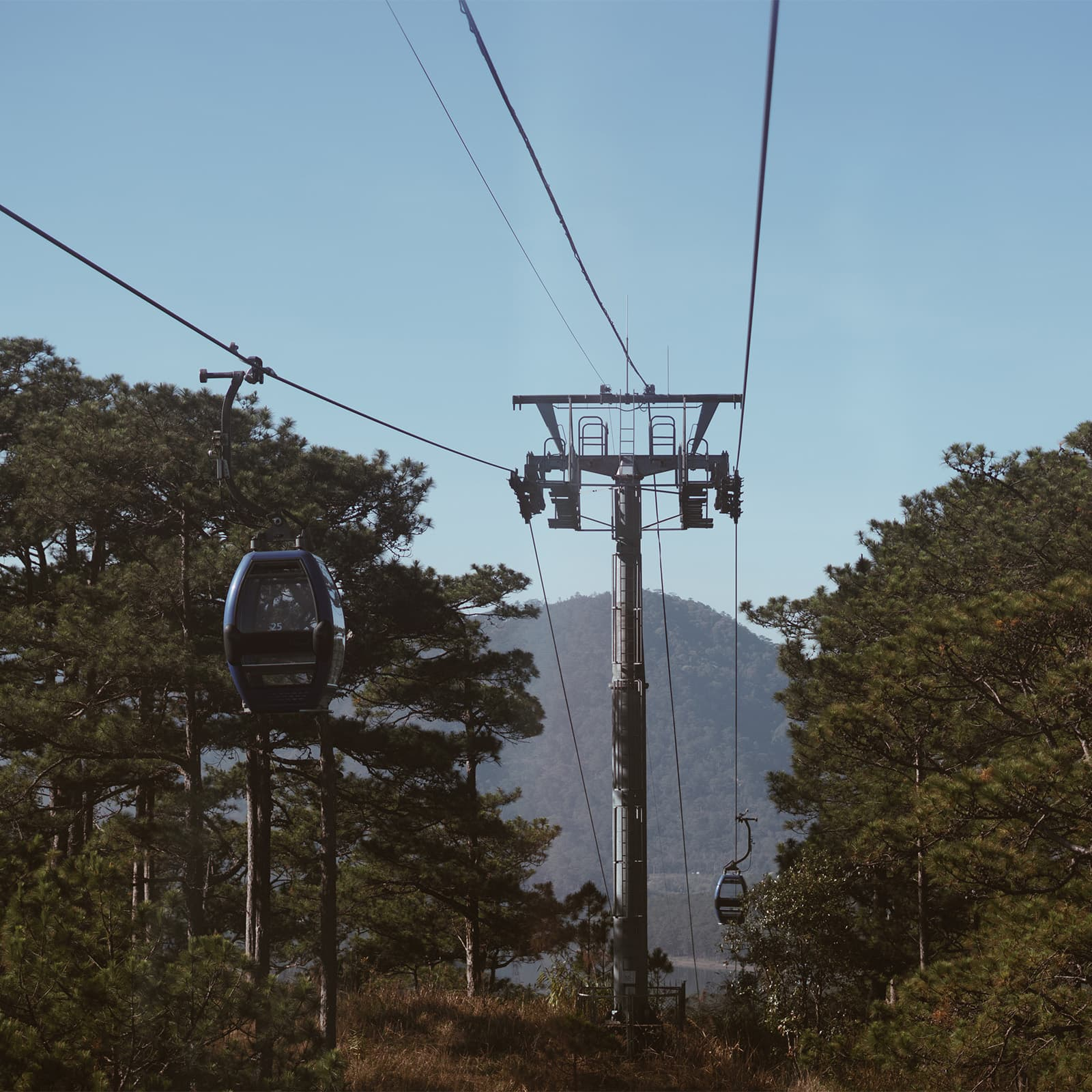 Экскурсия «Весь Далат за два дня» из Нячанга — большой маршрут по главным достопримечательностям города: Датанла, стеклянный мост, пагода Чук Лам, Crazy House, Глиняная деревня, Лики любви, водопады Понгур и Слон, Линь Фуок, Линь Ан и XQ
