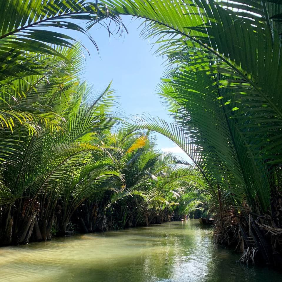 Корзиночные лодки среди тропических зарослей. Экскурсия по каналам Хойана показывает природные ландшафты и традиционный быт местных жителей.