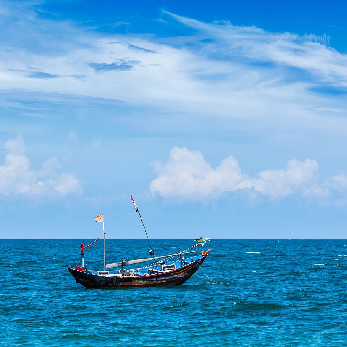 Программа «Дайвинг для новичков» в Нячанге подойдёт тем, кто хочет безопасно попробовать погружение с аквалангом в морском заповеднике без долгого обучения.
