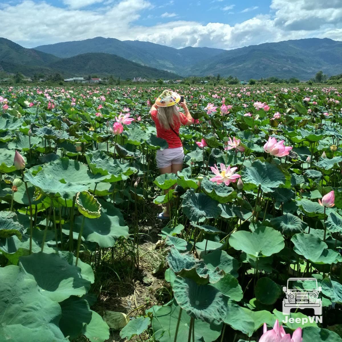 Цветущее поле лотосов на фоне гор — одна из фотостопов в джип-туре от TianaTours по пригородам Нячанга
