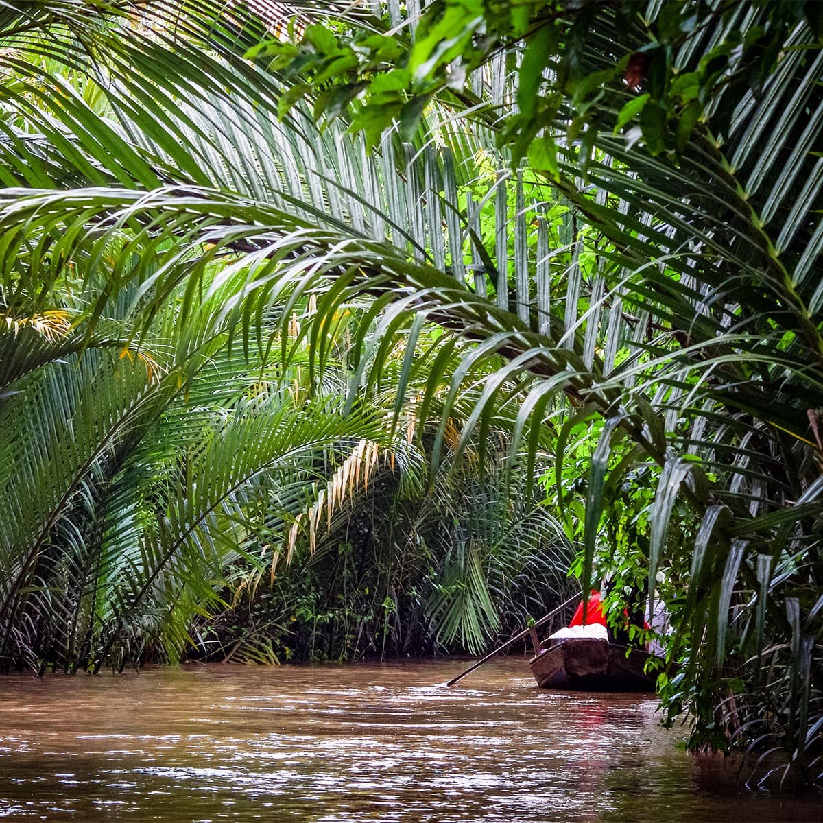 Сайгон: сплав по реке Меконг из Нячанга — ночной переезд на VIP слипбасе, лодки по каналам дельты, деревни, дегустация сладостей и местной рыбы «ухо слона».