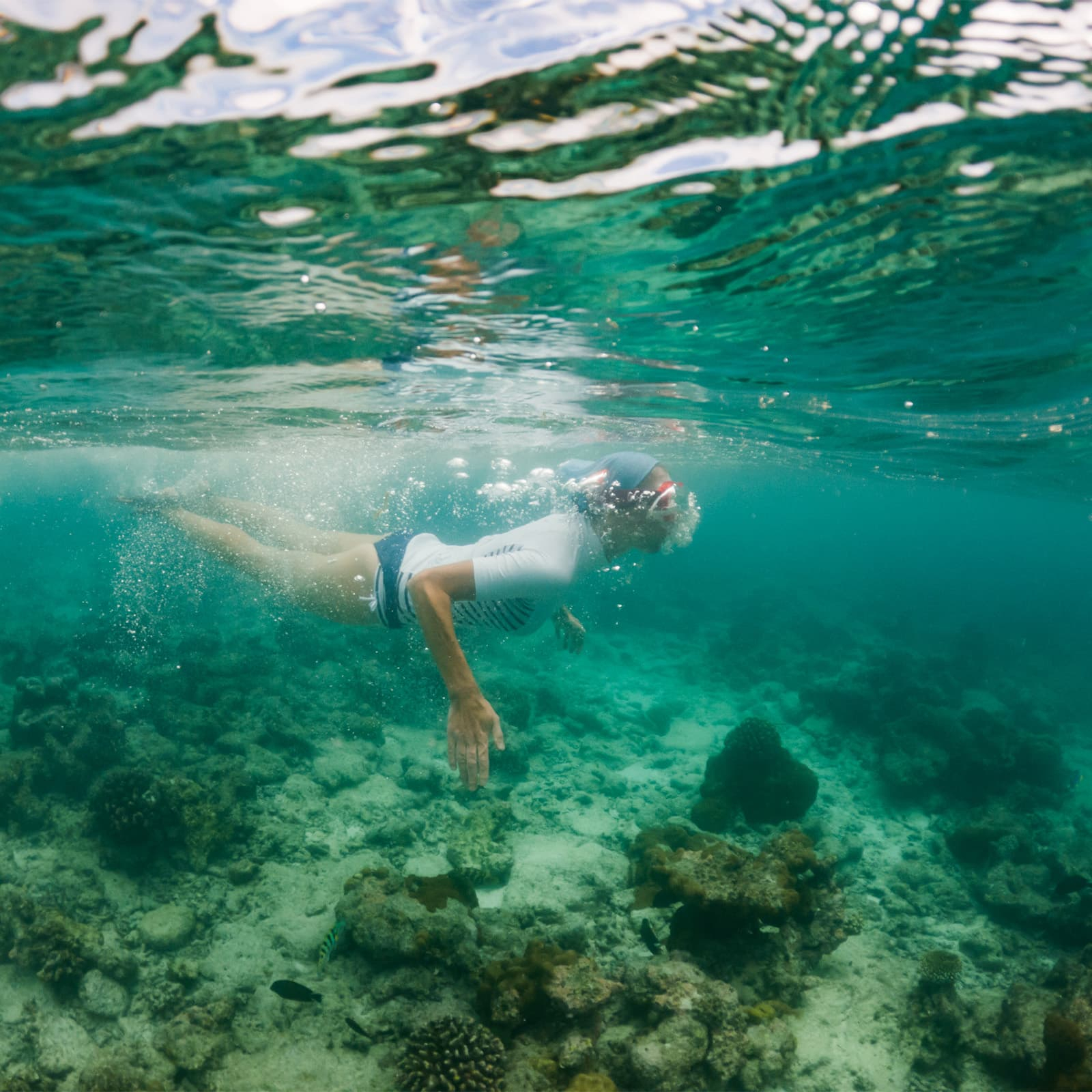 Снорклинг у острова Хон Там в Нячанге — яркая часть тура на южные острова, где коралловый риф, спокойная вода и разнообразие морских обитателей делают отдых у моря не только пляжным, но и по-настоящему насыщенным впечатлениями