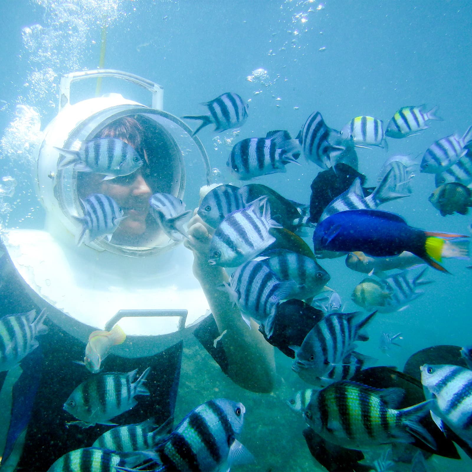 Sea Walking на Хон Там в Нячанге — морская прогулка по дну в прозрачном шлеме без дайверской подготовки, популярное развлечение на экскурсии на южные острова Нячанга для тех, кто хочет увидеть подводный мир, кораллы и рыб вблизи