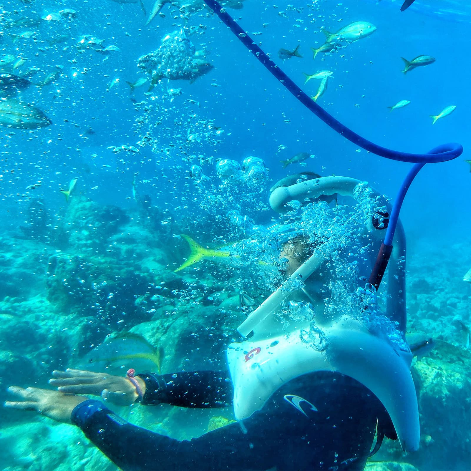 Sea Walking на острове Хон Там — одно из самых ярких развлечений Hon Tam Resort, где во время тура на южные острова Нячанга можно спуститься под воду в шлеме с подачей воздуха и познакомиться с коралловым рифом без сложного инструктажа