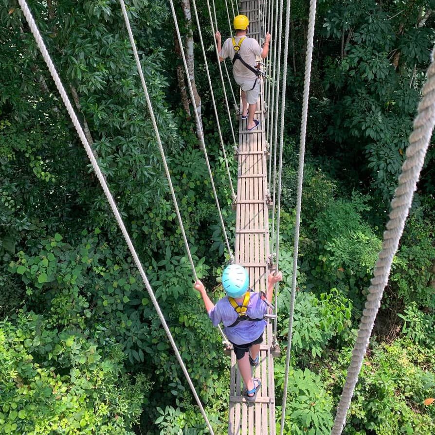 Натяжной мост соединяет платформы над тропическим лесом, покачиваясь над кроной деревьев и открывая укрытые участки Kong Forest
