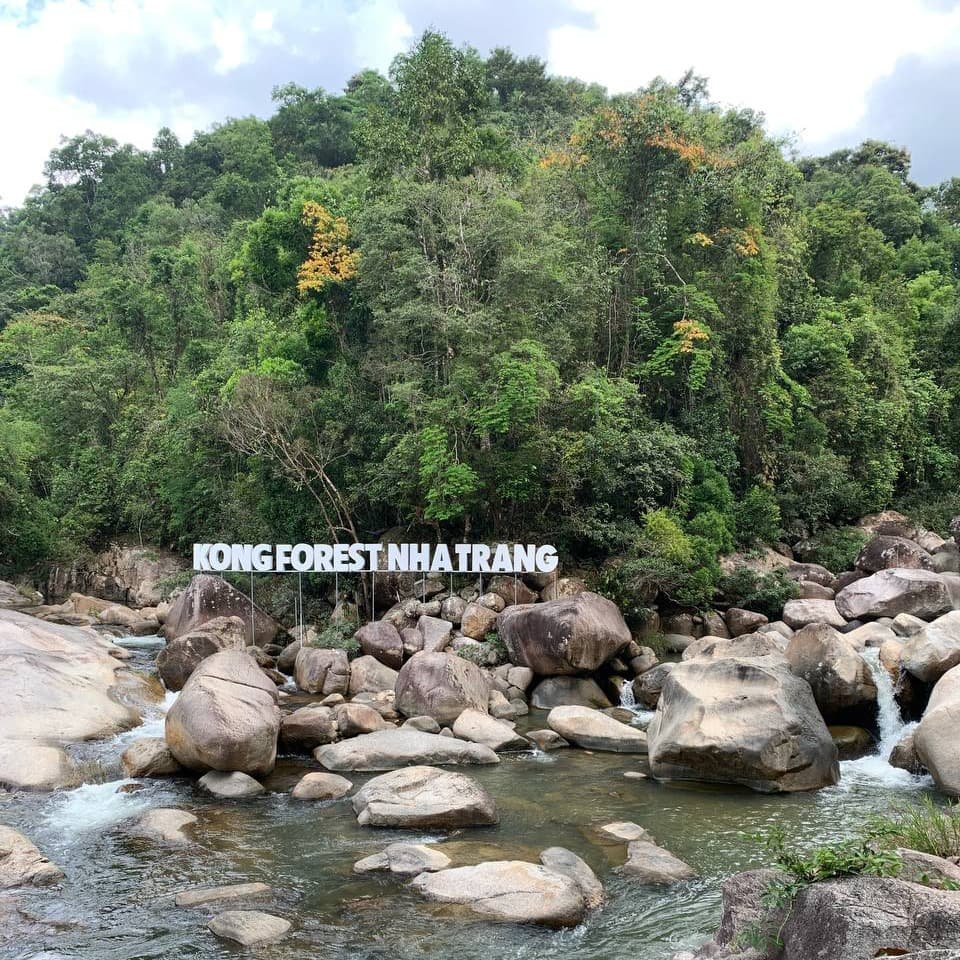 Водопад в глубине леса стекает по тёмным камням, образуя прозрачный поток среди густой растительности заповедника