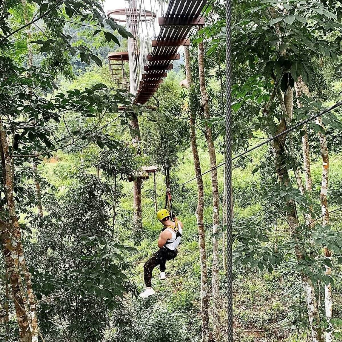 Экстремальный спуск на Зиплайне над тропическим лесом Kong Forest