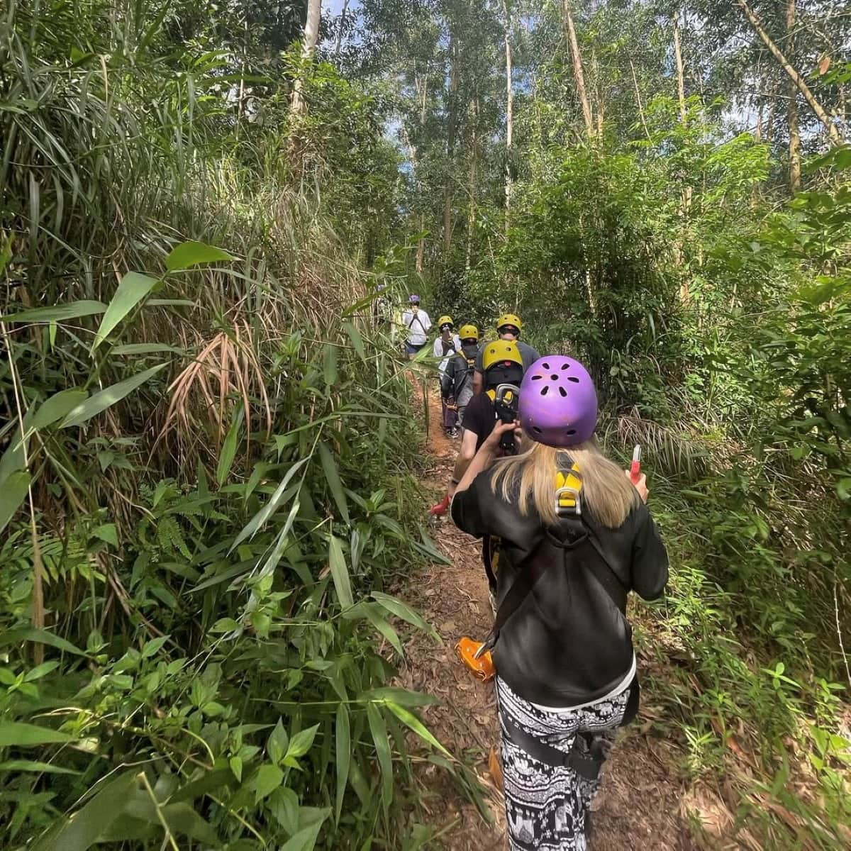 Прогулочные тропы среди тропических джунглей заповедника Kong Forest