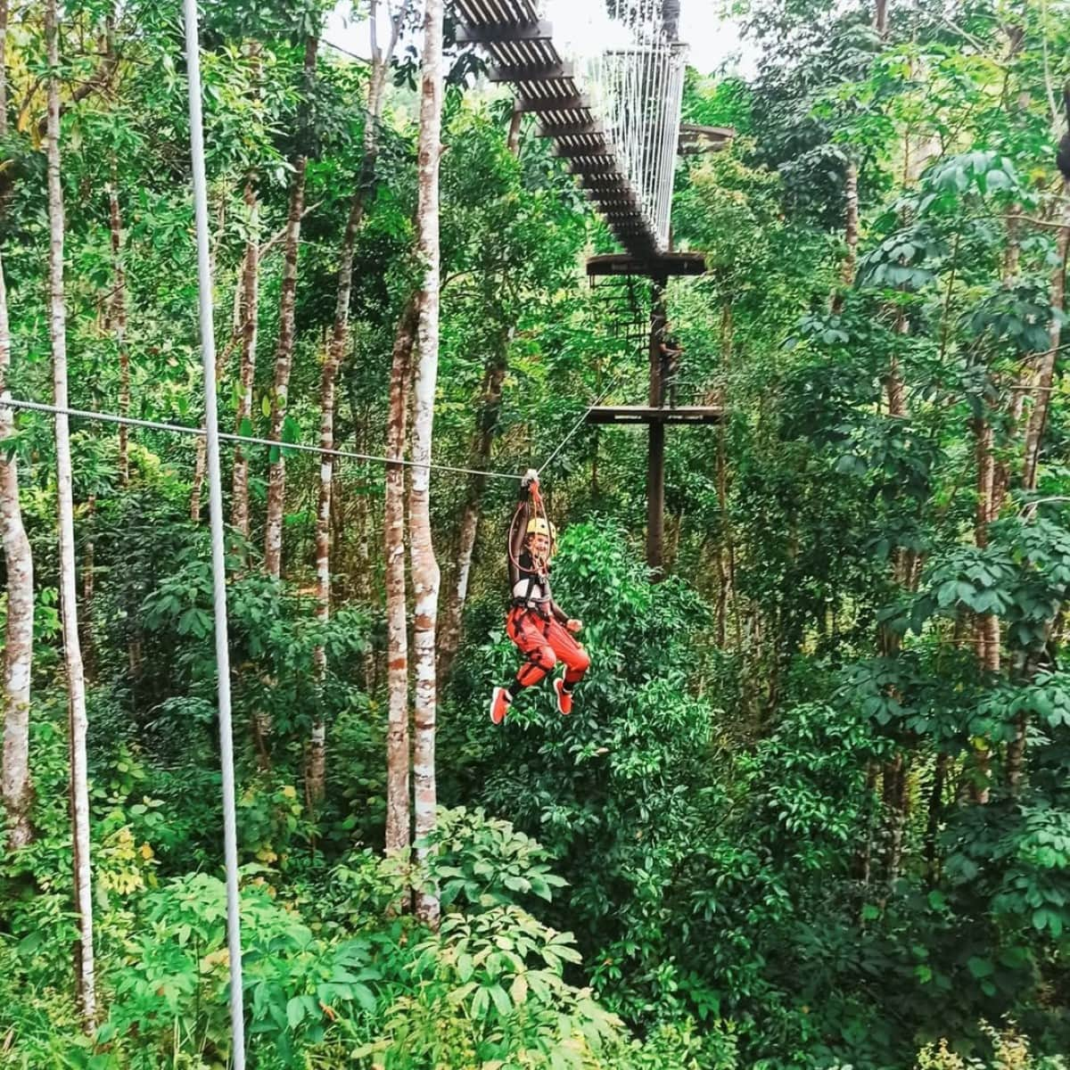 Вид на густые тропические леса заповедника Kong Forest с высоты птичьего полета